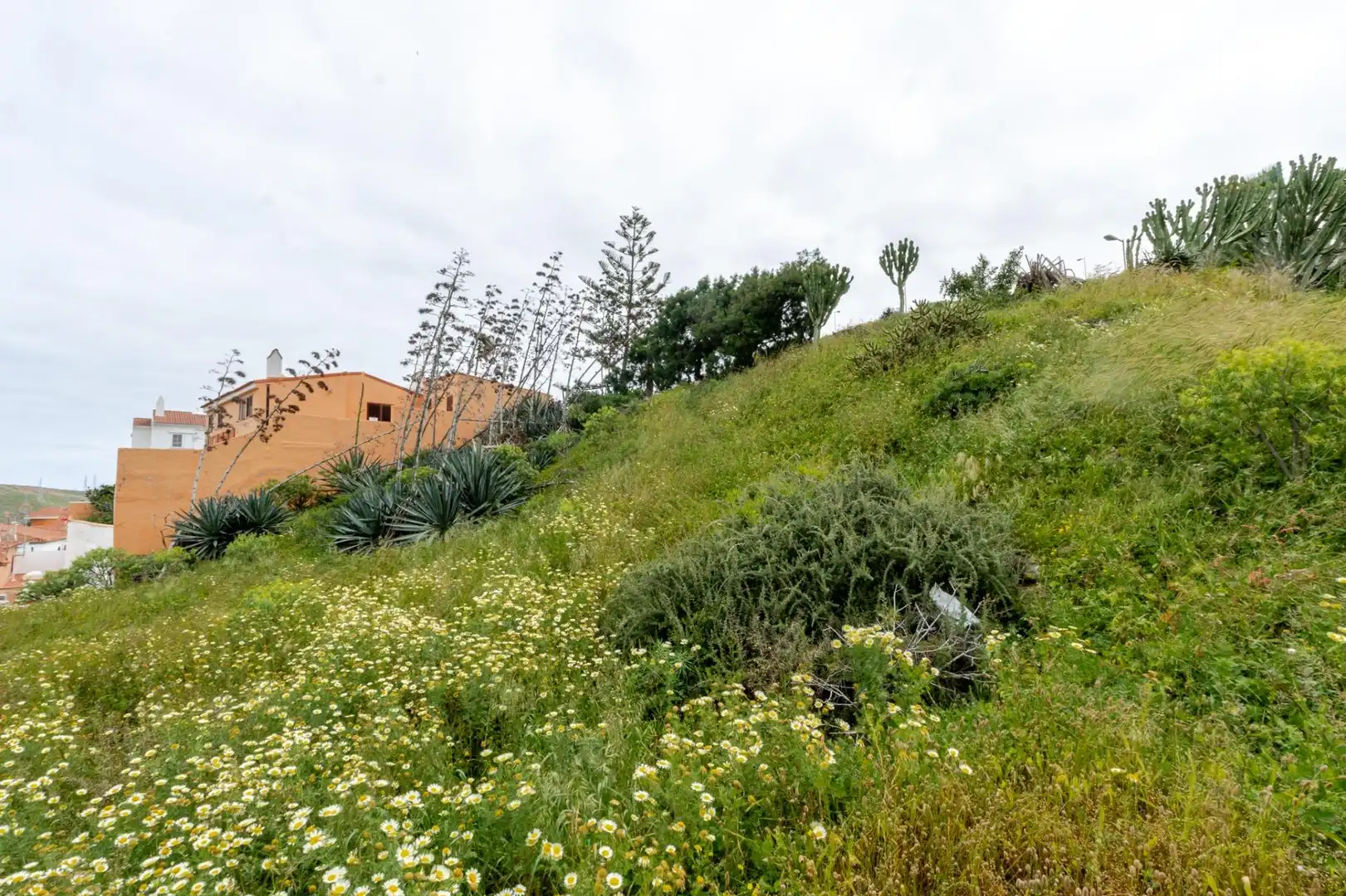 Residencial en venta en Las Palmas de Gran Canaria