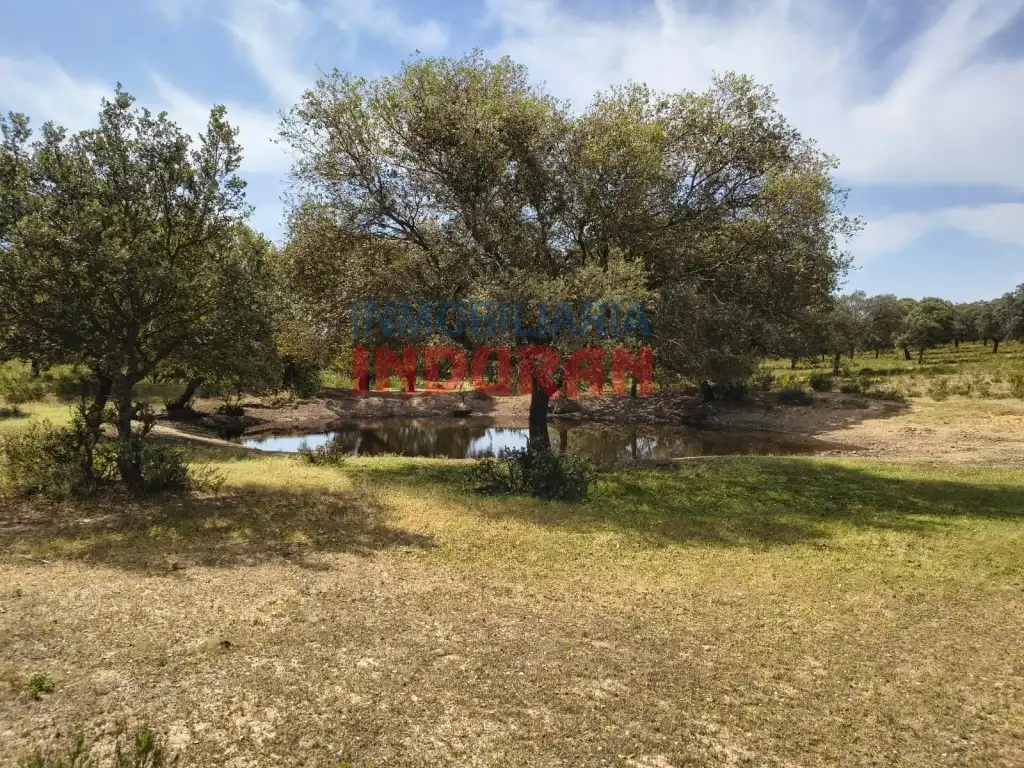 Finca rústica en venda en Talaván