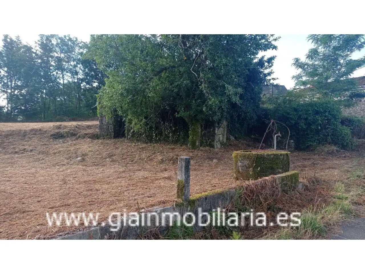 Terrenys i solars en venda a Calle Arcos, imagen 3