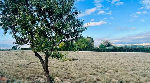 UNA GRAN PARCELA RÚTICA A UN PASO DE VILLENA, imatge 2