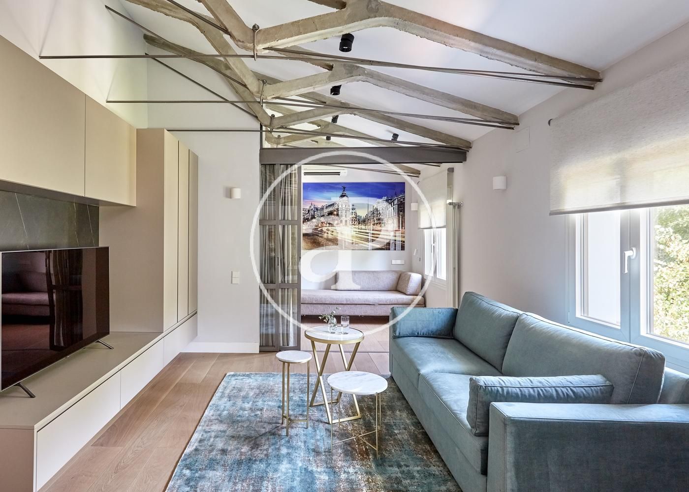 Living room of Flat to rent in  Madrid Capital  with Air Conditioner, Heating and Private garden