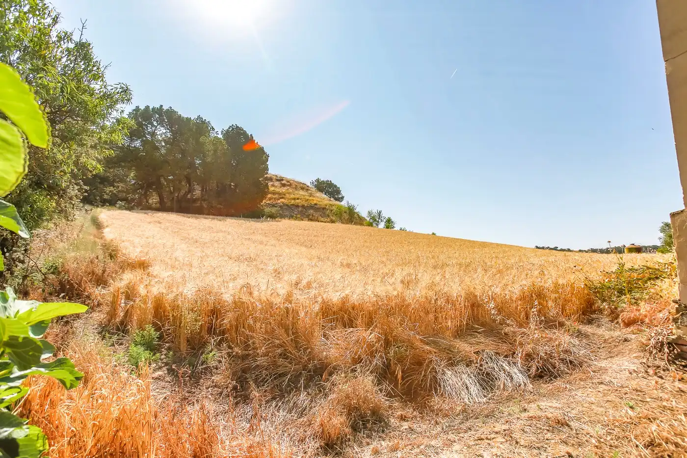 Country homes for sale in Les Oluges  with Heating, Private garden and Terrace
