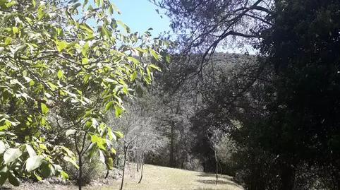 Foto 3 de Finca rústica en venda a Montagut i Oix, Girona