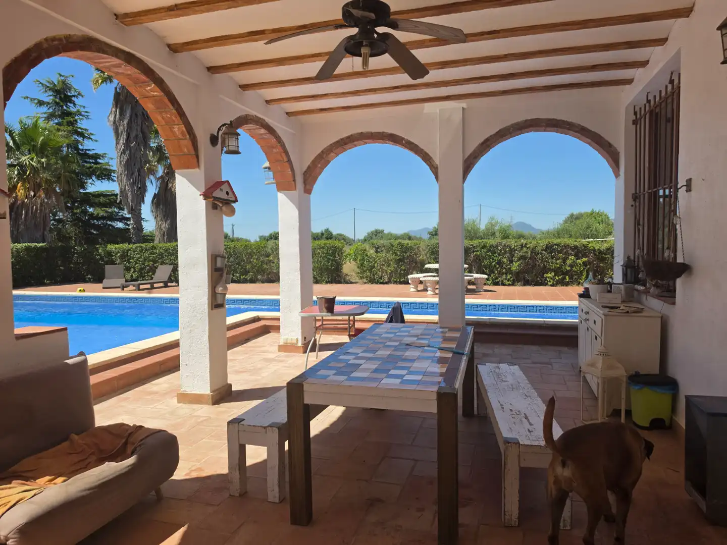 Chalet con piscina en venta en Carrer de València, imagen 7