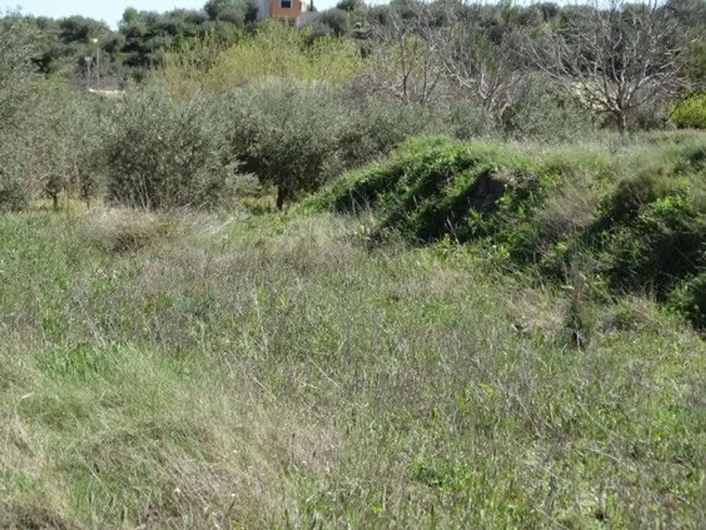 Terreny rústic en venda a Moratalla, imagen 7