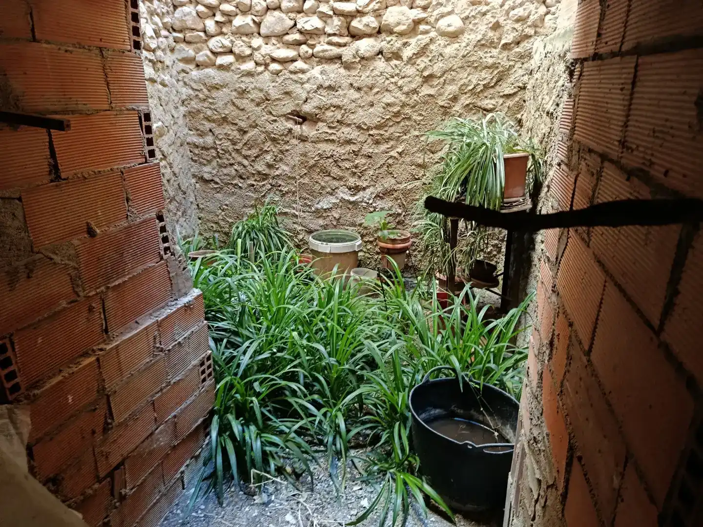 Jardí de Casa adosada en venda en Benilloba
