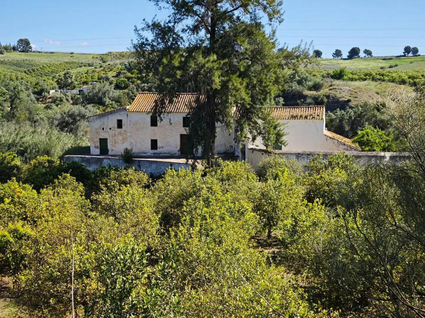 Vista exterior de Finca rústica en venda en Cártama