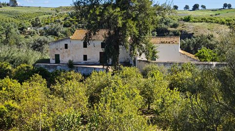 Foto 2 de Finca rústica en venda a Polígono ,19, 19, Gibralgalía, Cártama