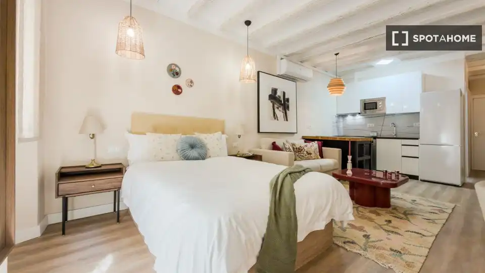 Flat with terrace to rent in Ciutat Vella