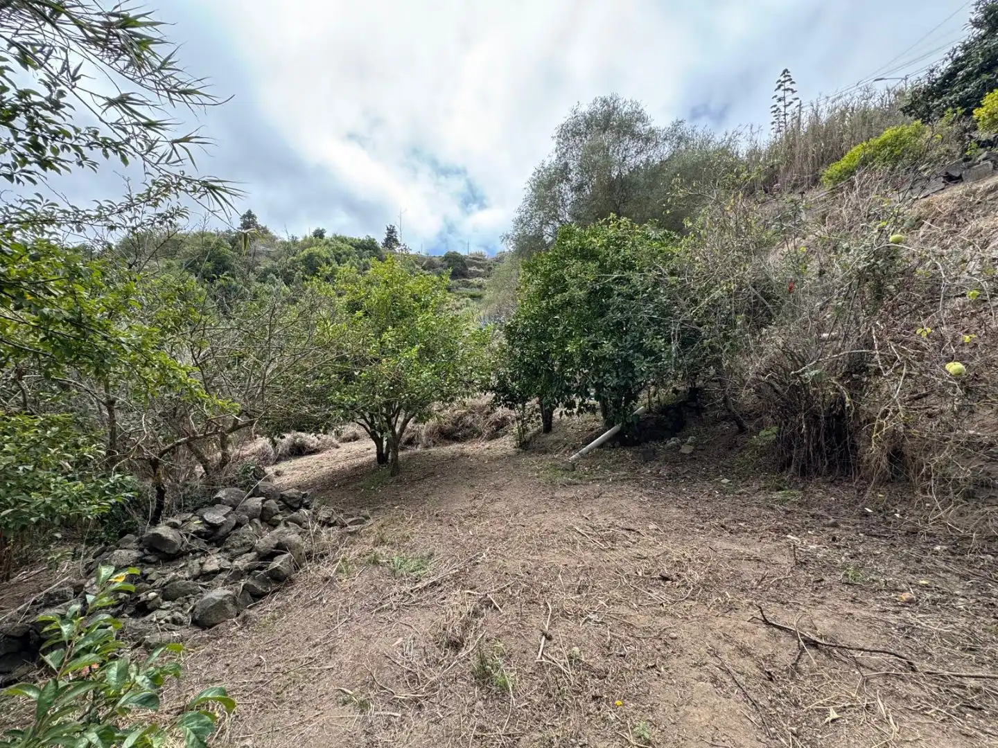 House with garden for sale in Lugar Barranquillo 43, imagen 16