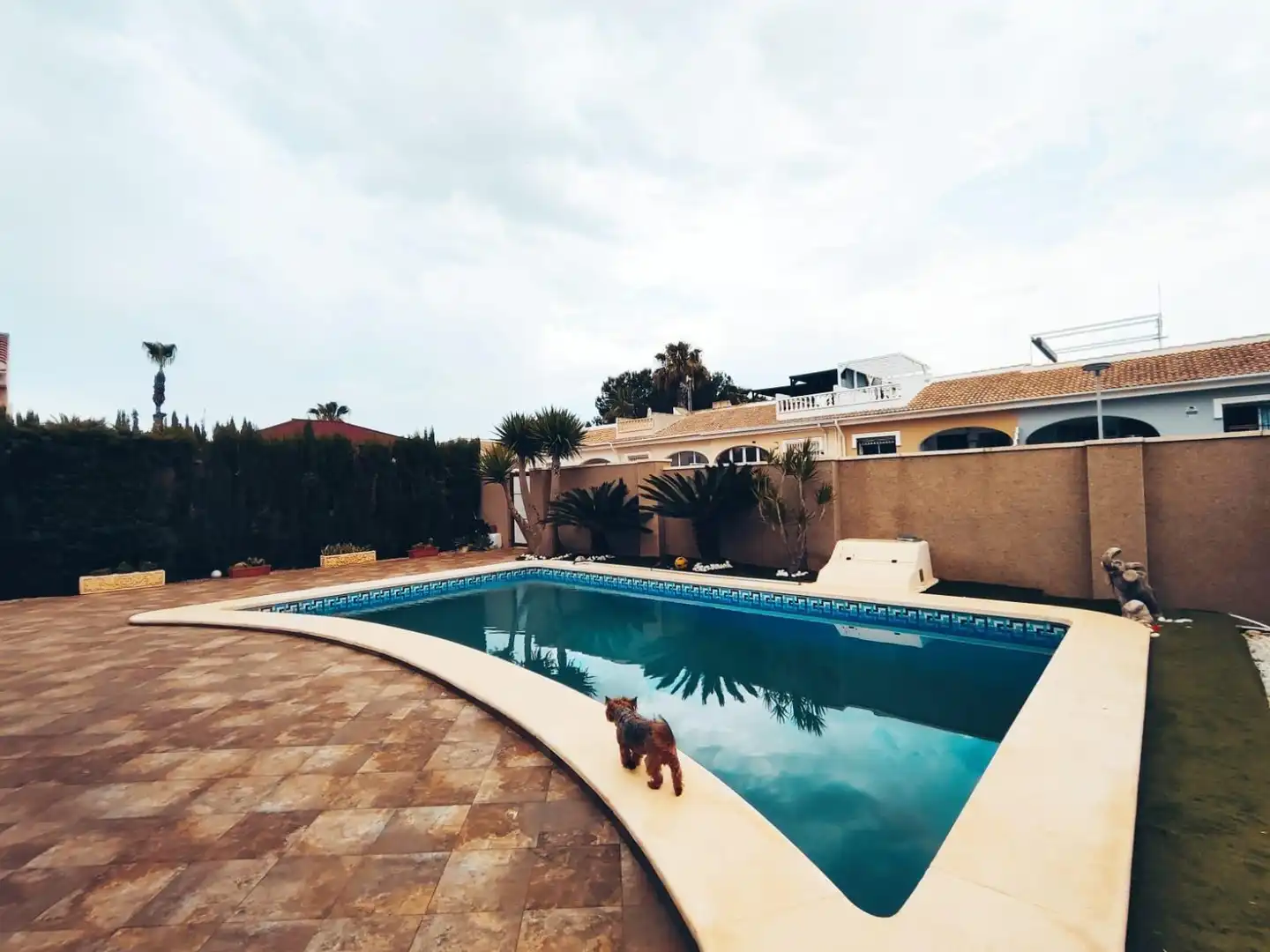 Piscina de Casa o xalet en venda en Benijófar amb Calefacció, Jardí privat i Terrassa