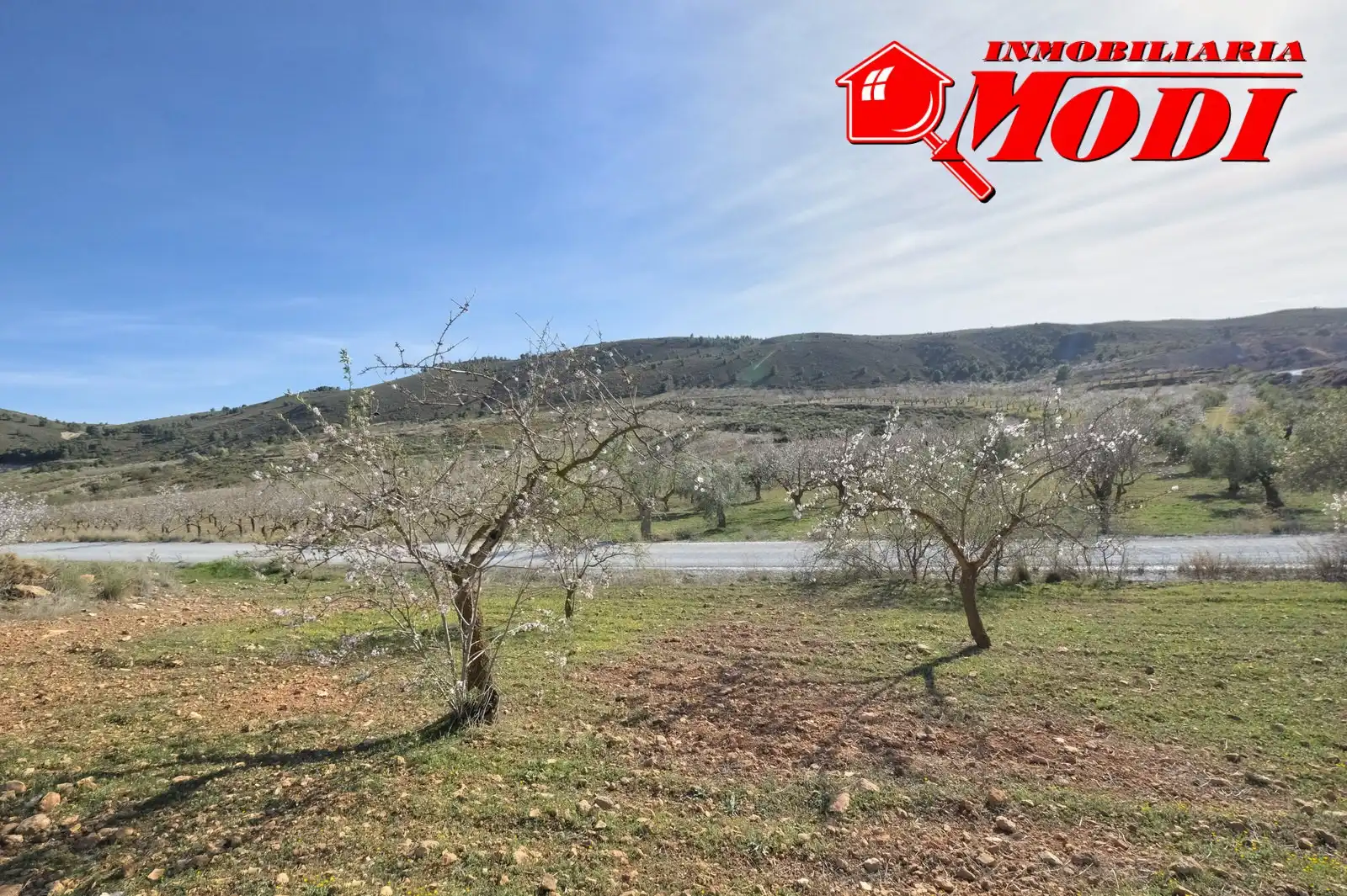 Terreni e lotti in vendita a El Valle, imagen 12