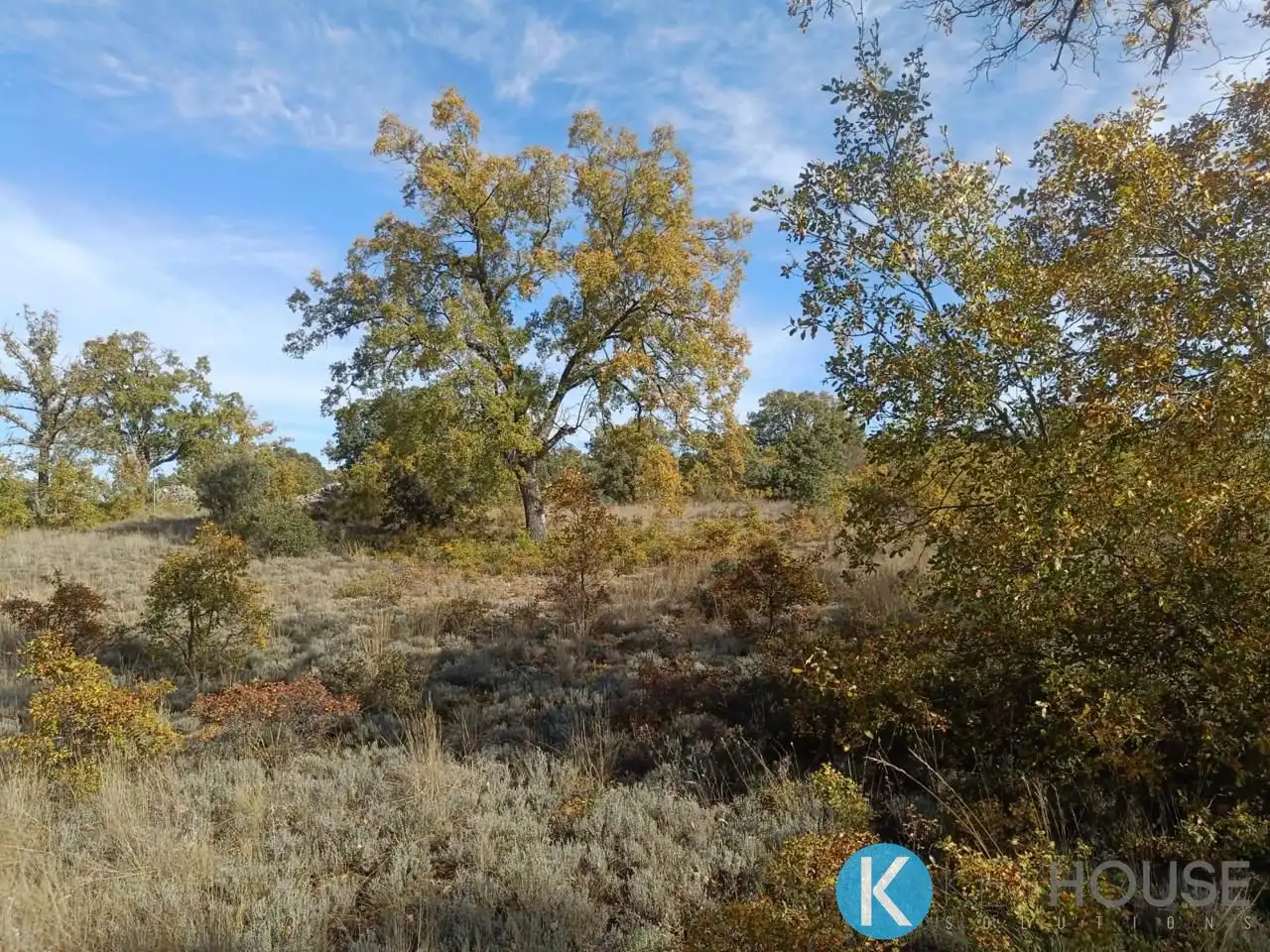 Land for sale in Pastrana