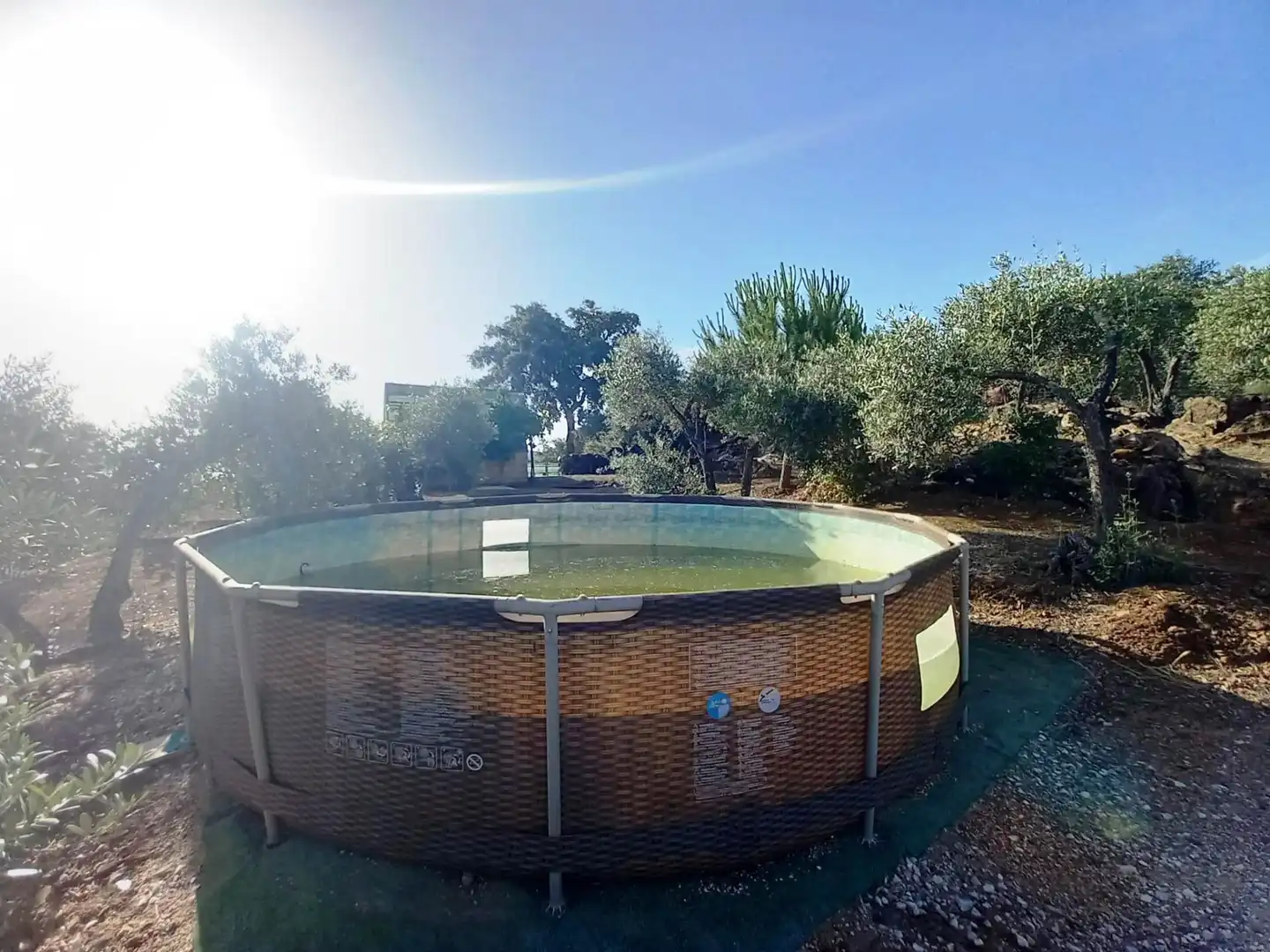 Schwimmbecken von Country house zum Verkauf in El Pedroso mit Privatgarten und Abstellraum