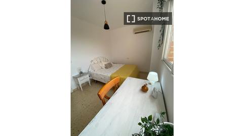 Photo 3 of Flat to share in Palmeral, Alicante / Alacant