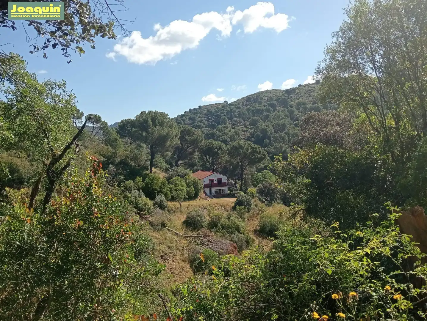 Finca rústica en venda en Córdoba