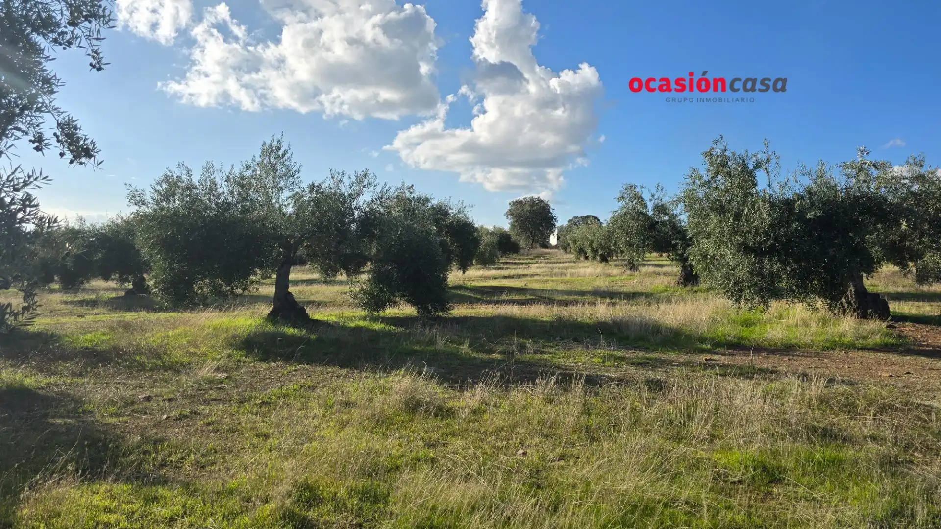 Wohnbaugrundstück zum Verkauf in La Granjuela, imagen 25