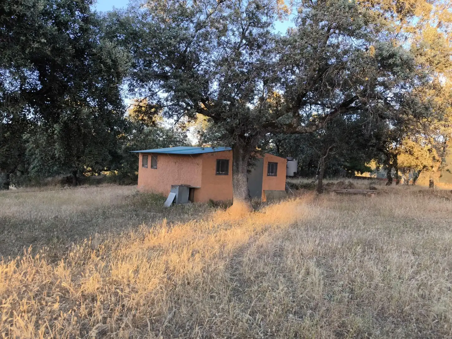 Rural land for sale in Fuente Obejuna, imagen 41