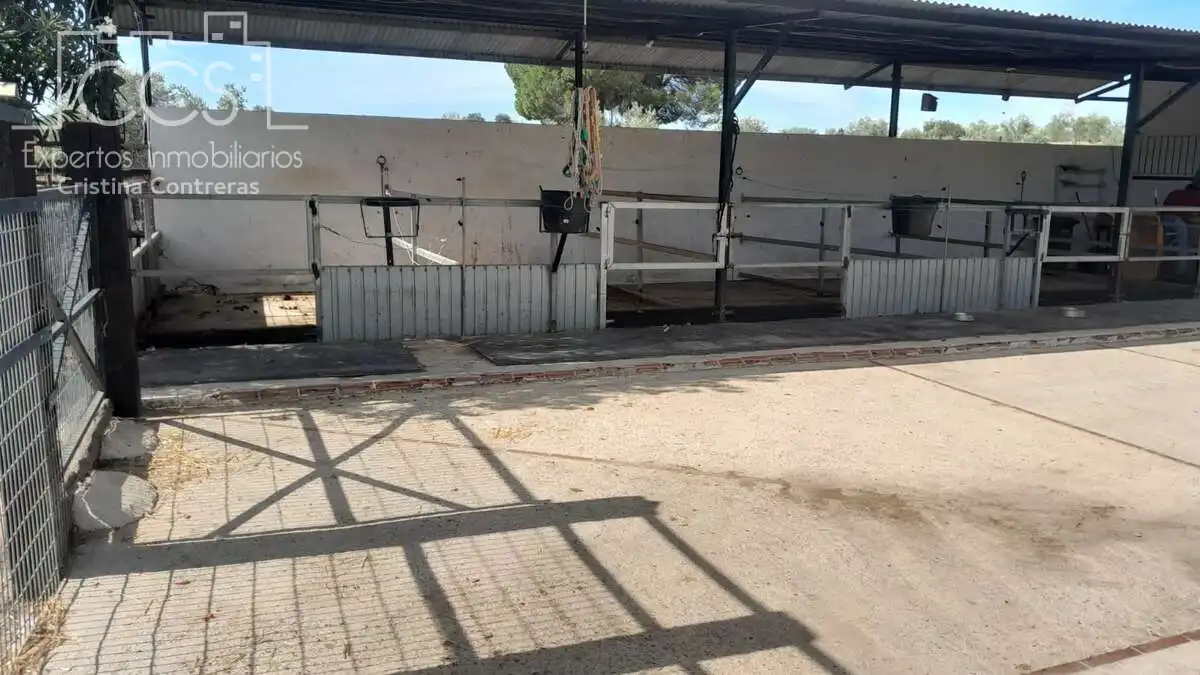Casa rústica amb jardí en venda a Almonte ciudad, imagen 32