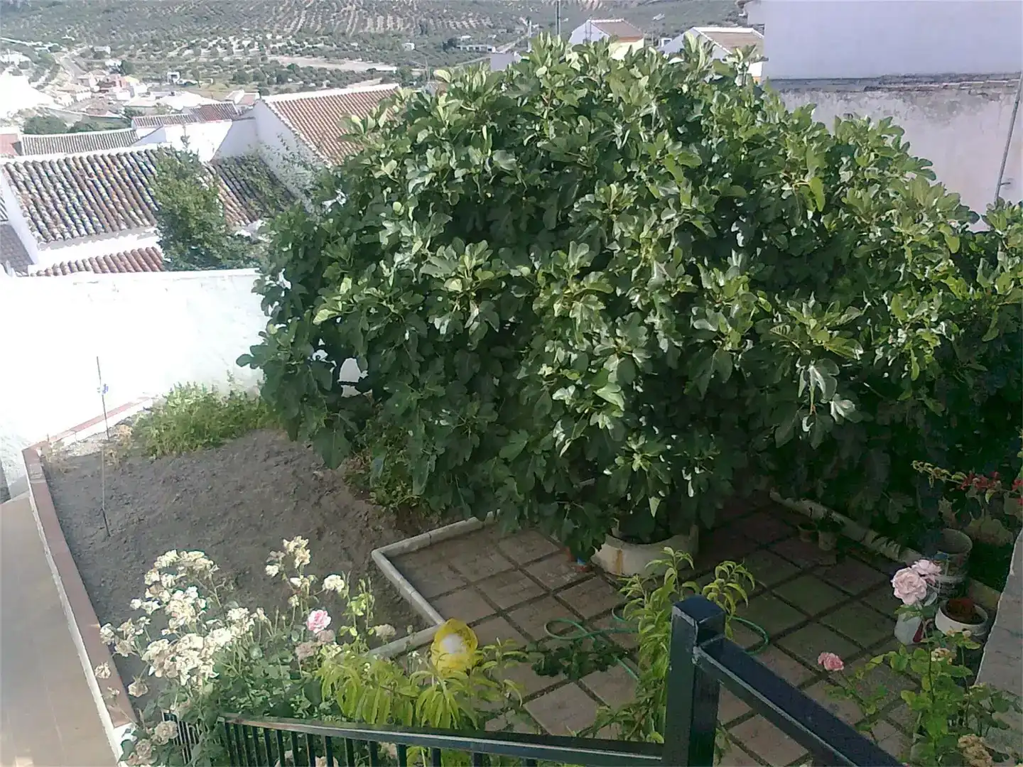 Jardín de Casa o chalet en venta en Luque con Aire acondicionado y Balcón