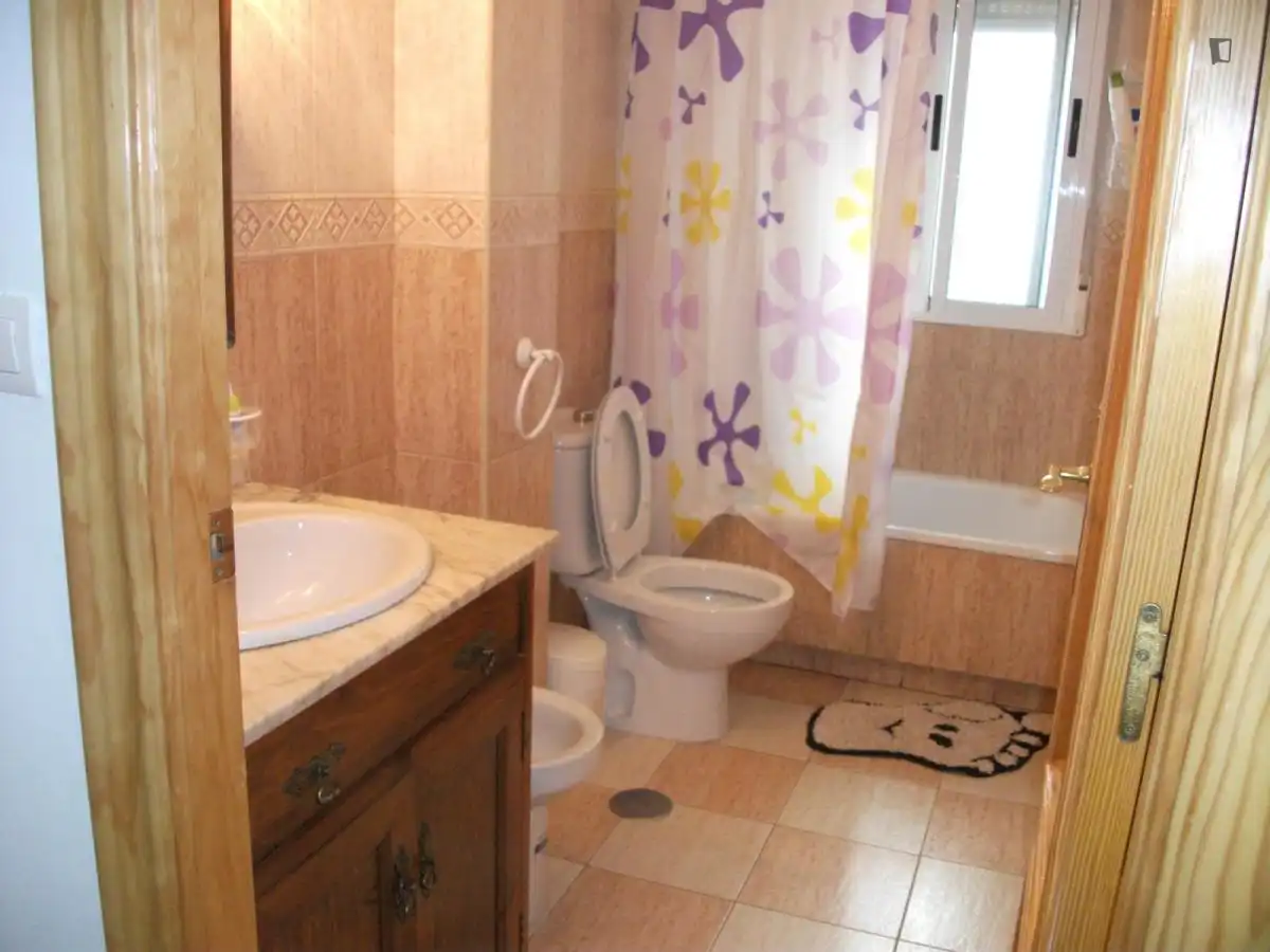 Bany de Apartament per a compartir en Granada amb Moblat, Forn i Rentadora