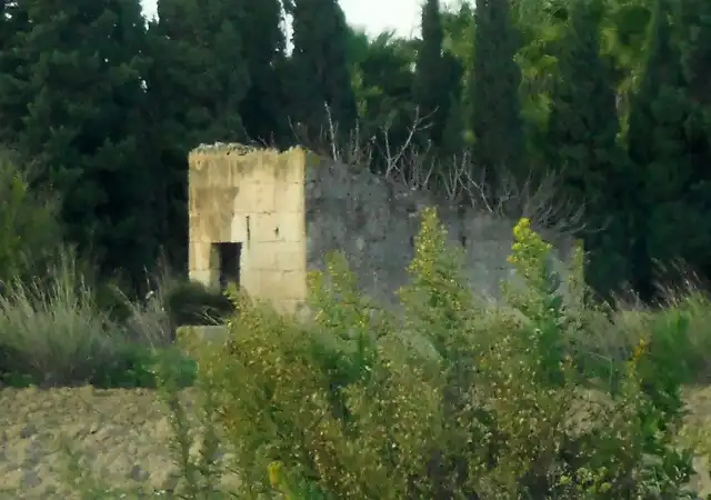 Finca rústica en venta en Santa Margalida