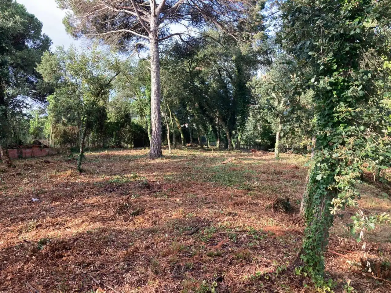 Terreno residencial en venta en Caldes de Malavella, imagen 7