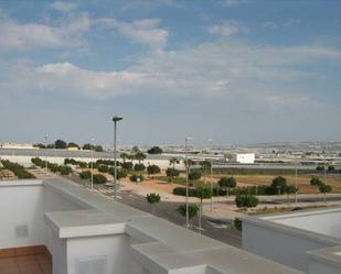 Exterior view of Industrial land for sale in El Ejido
