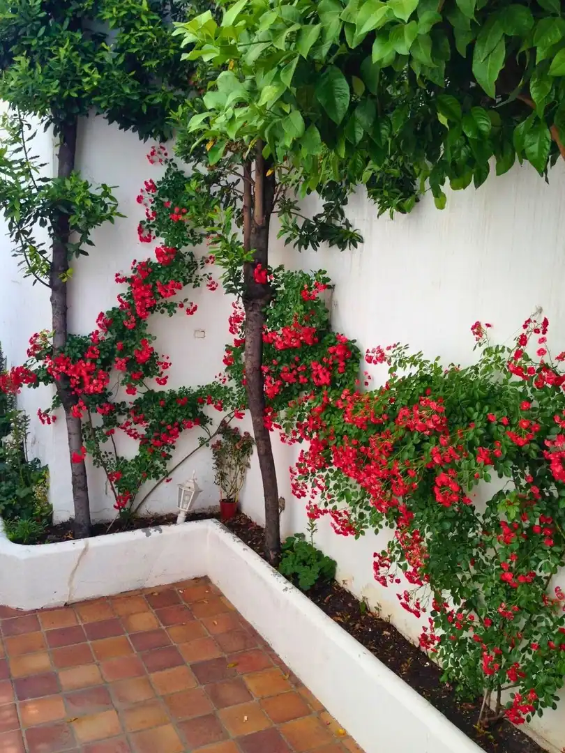 Jardín de Casa o chalet en venta en Villanueva del Arzobispo con Terraza