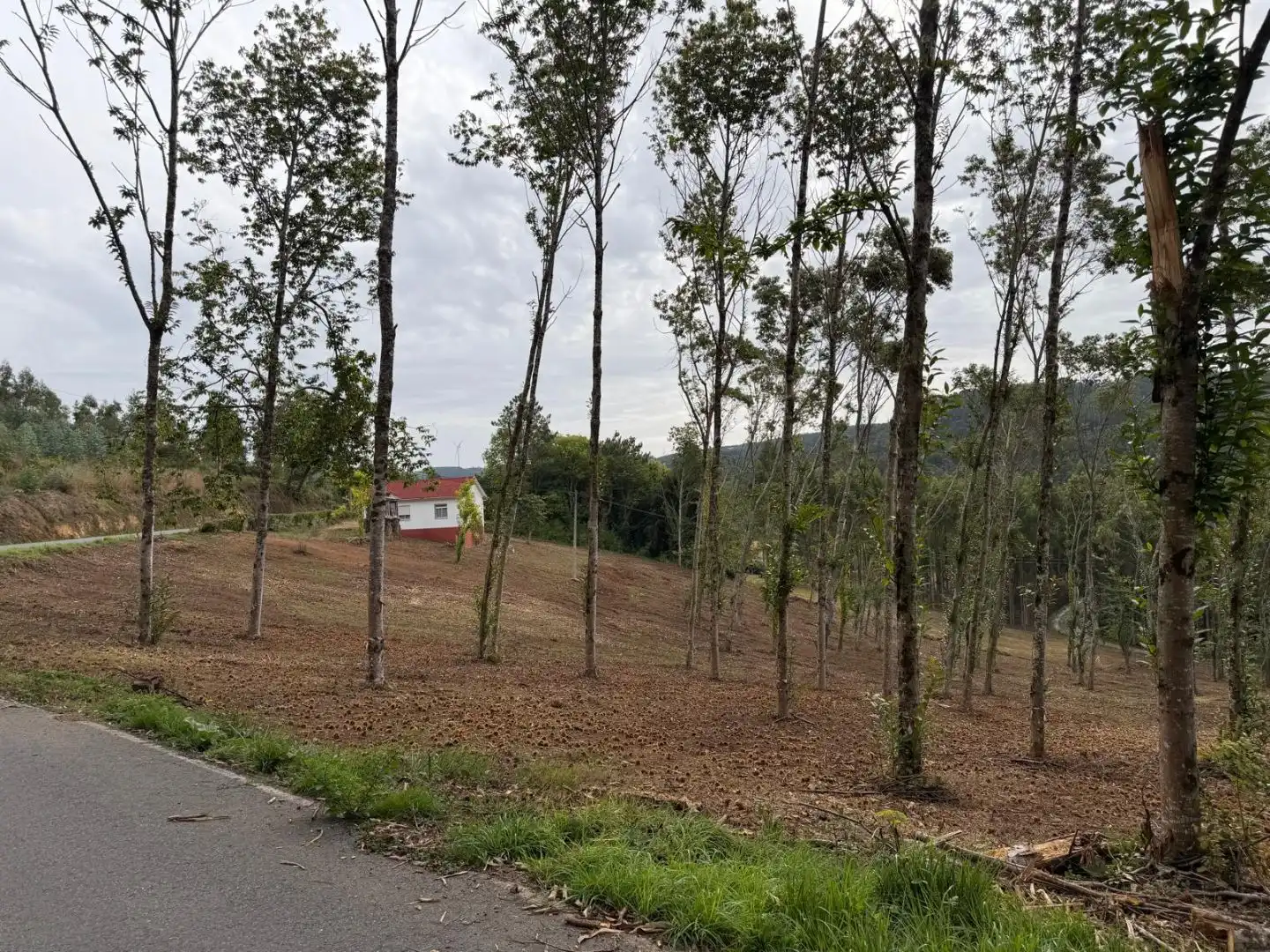 Casa o chalet en venta en As Somozas 
