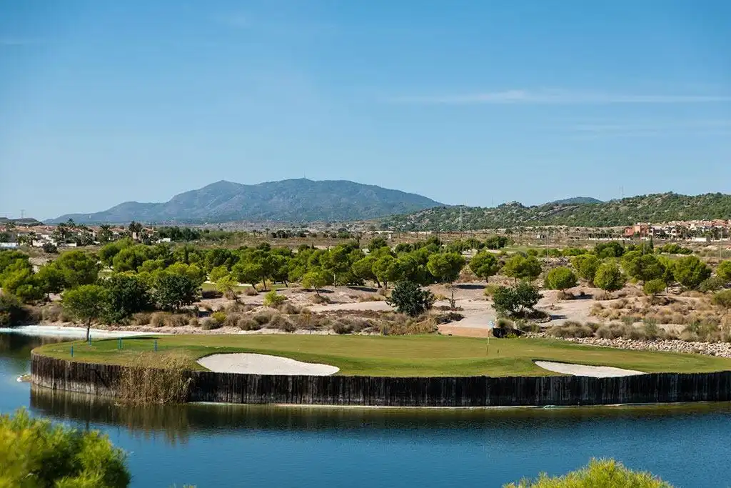 Chalet con piscina en venta en Campo de Murcia, imagen 15