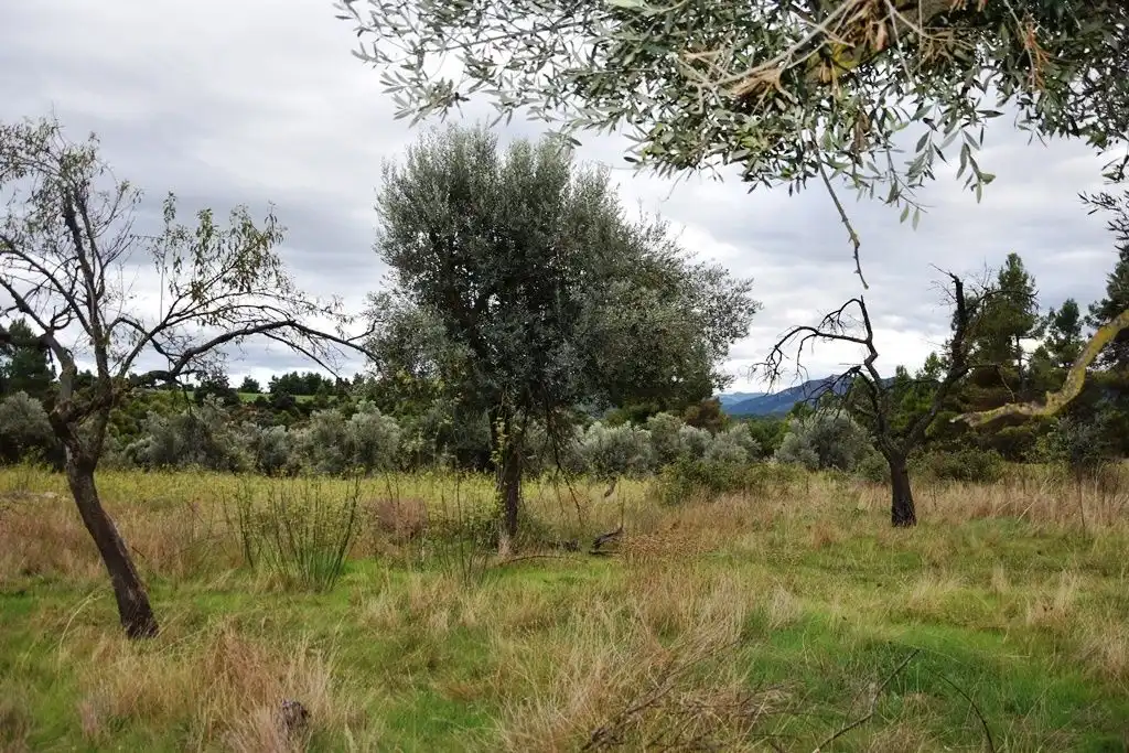 Terreni e lotti in vendita a Valderrobres, imagen 2