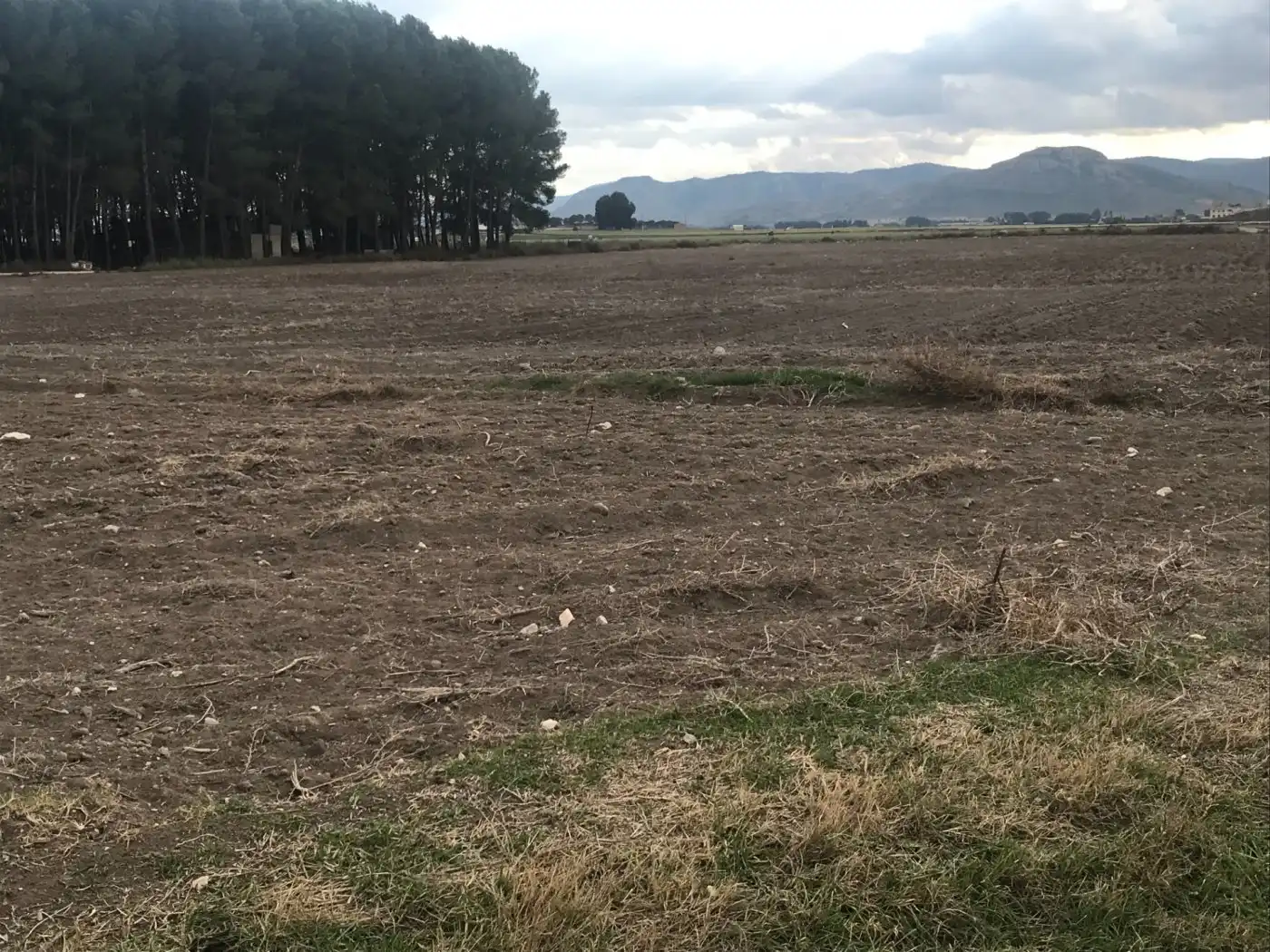 Grundstücke zum Verkauf in Villena