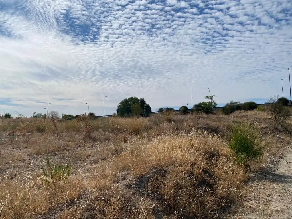 Terreno industrial en venta en 238P Calle de Octubre, imagen 15