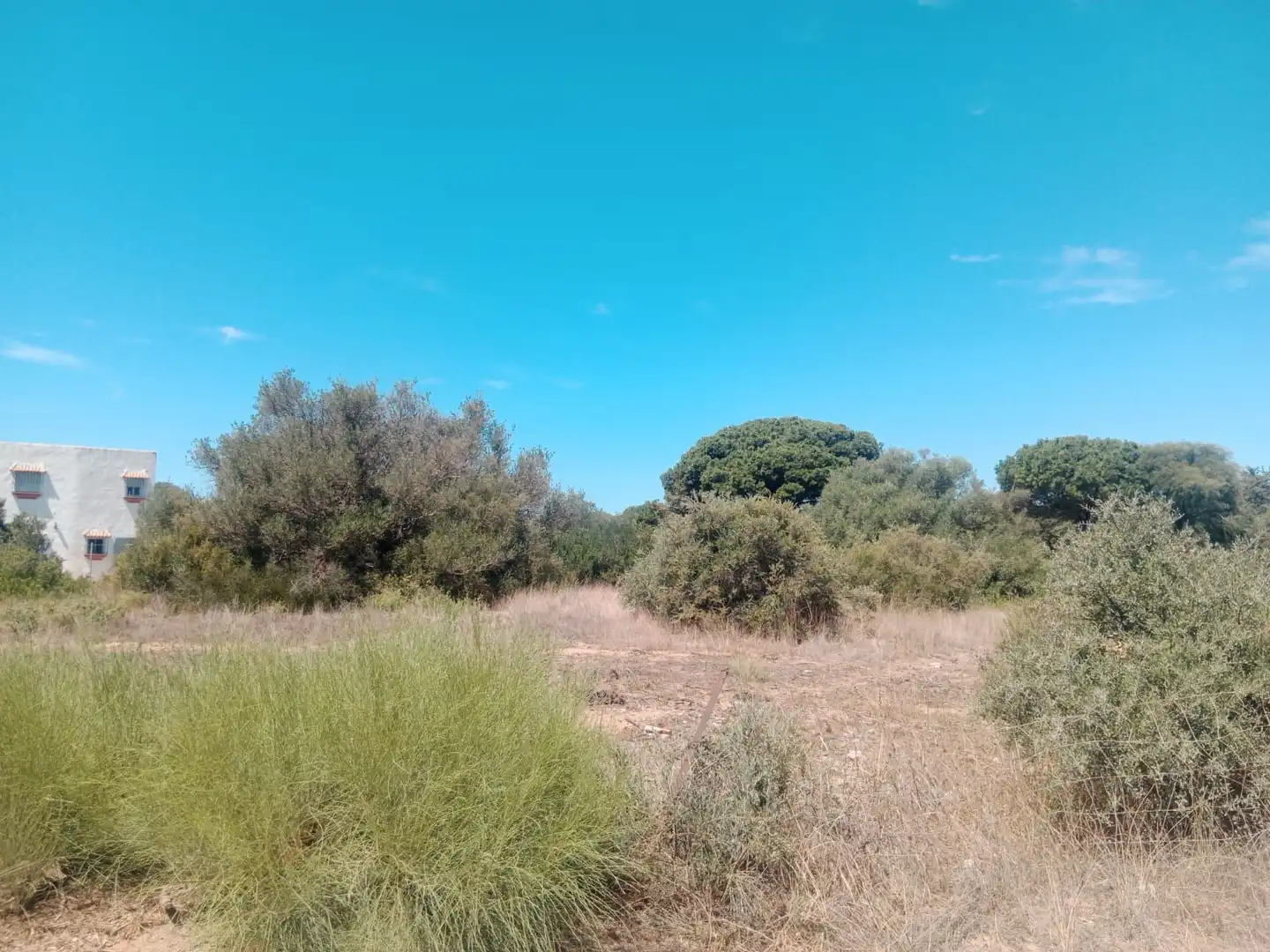 Rustikales Grundstück zum Verkauf in Las Lagunas - Campano, imagen 10