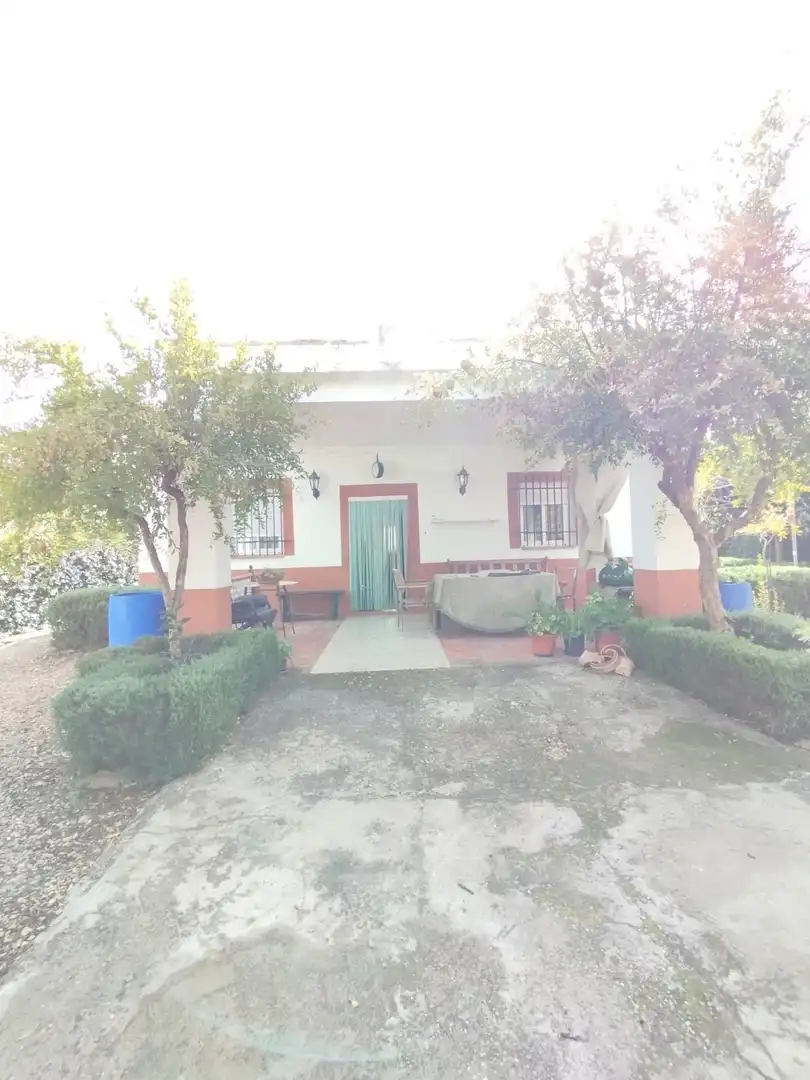 Jardín de Casa o chalet en venta en Valverde de Mérida con Trastero, Piscina y Amueblado