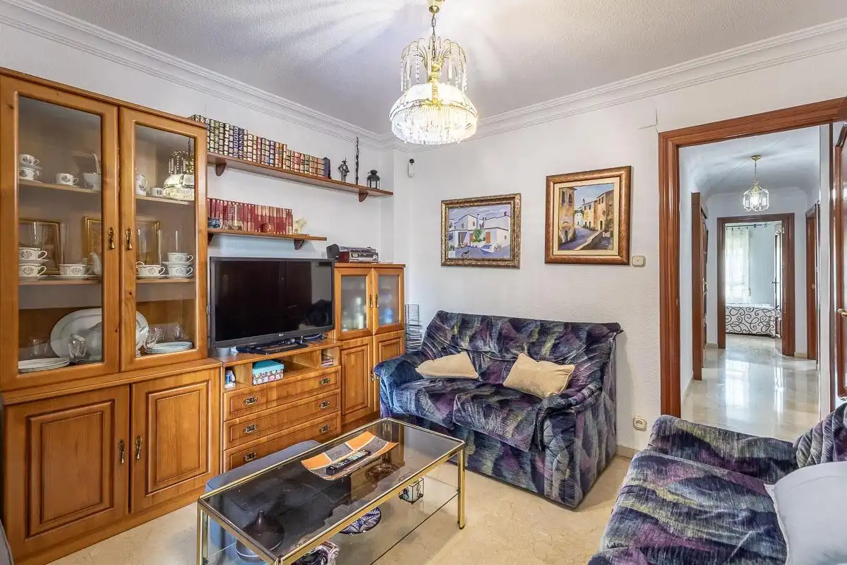 Sala d'estar de Pis en venda en Granada amb Aire condicionat, Terrassa i Forn