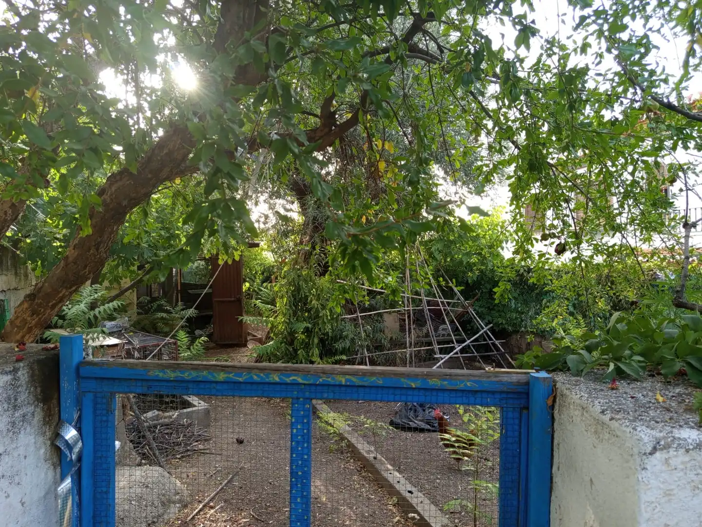 Jardí de Casa o xalet en venda en La Zubia amb Jardí privat i Piscina