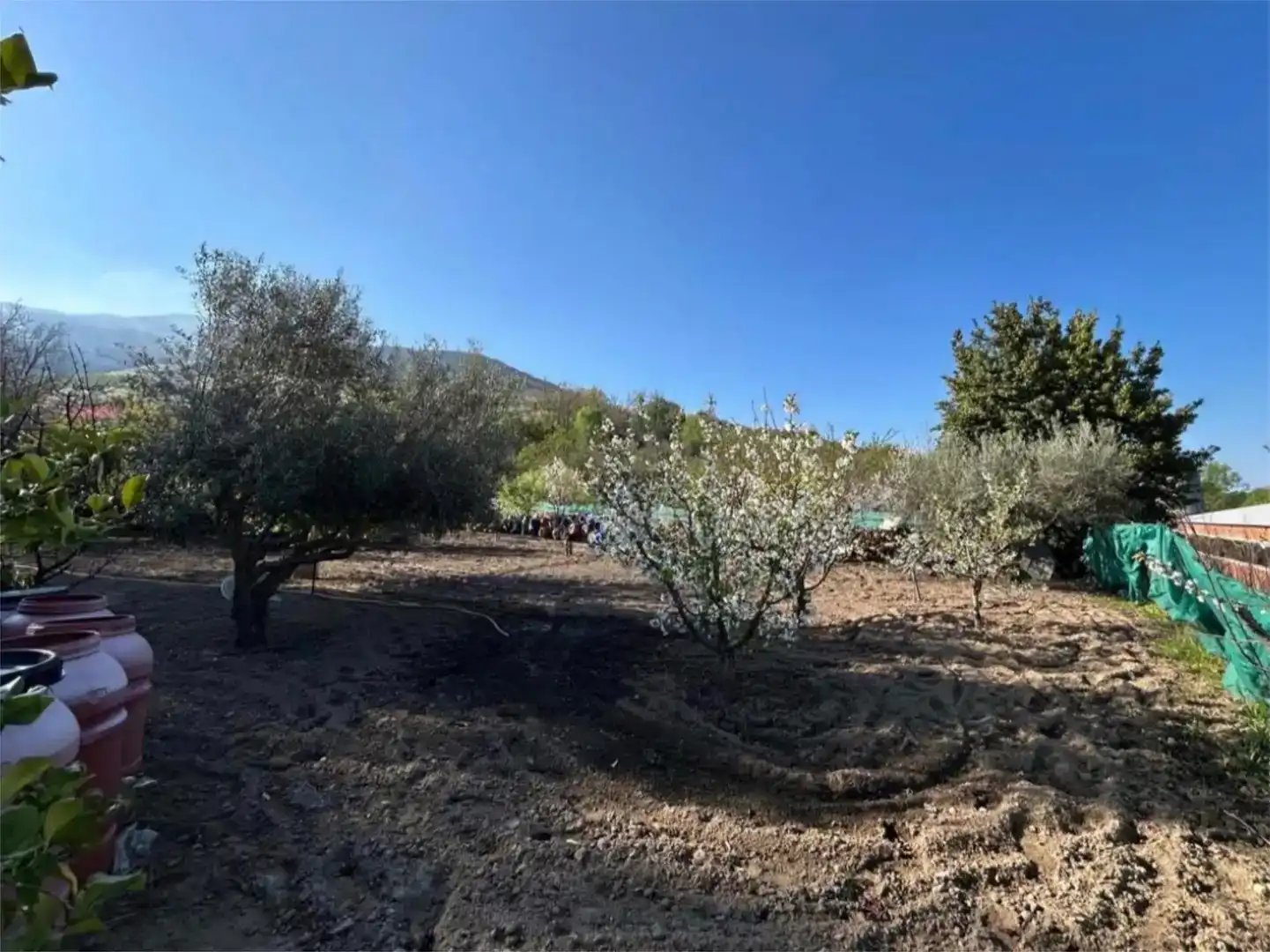 Pis en venda en Casas del Castañar amb Jardí privat, Piscina i Moblat