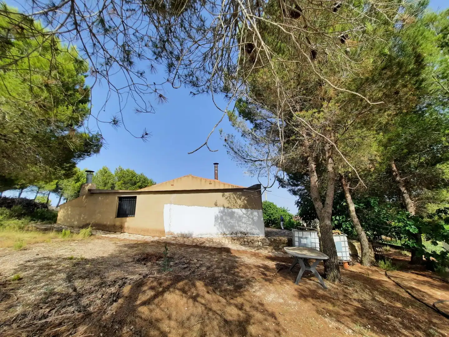 Vista exterior de Casa o chalet en venta en Alpera con Amueblado