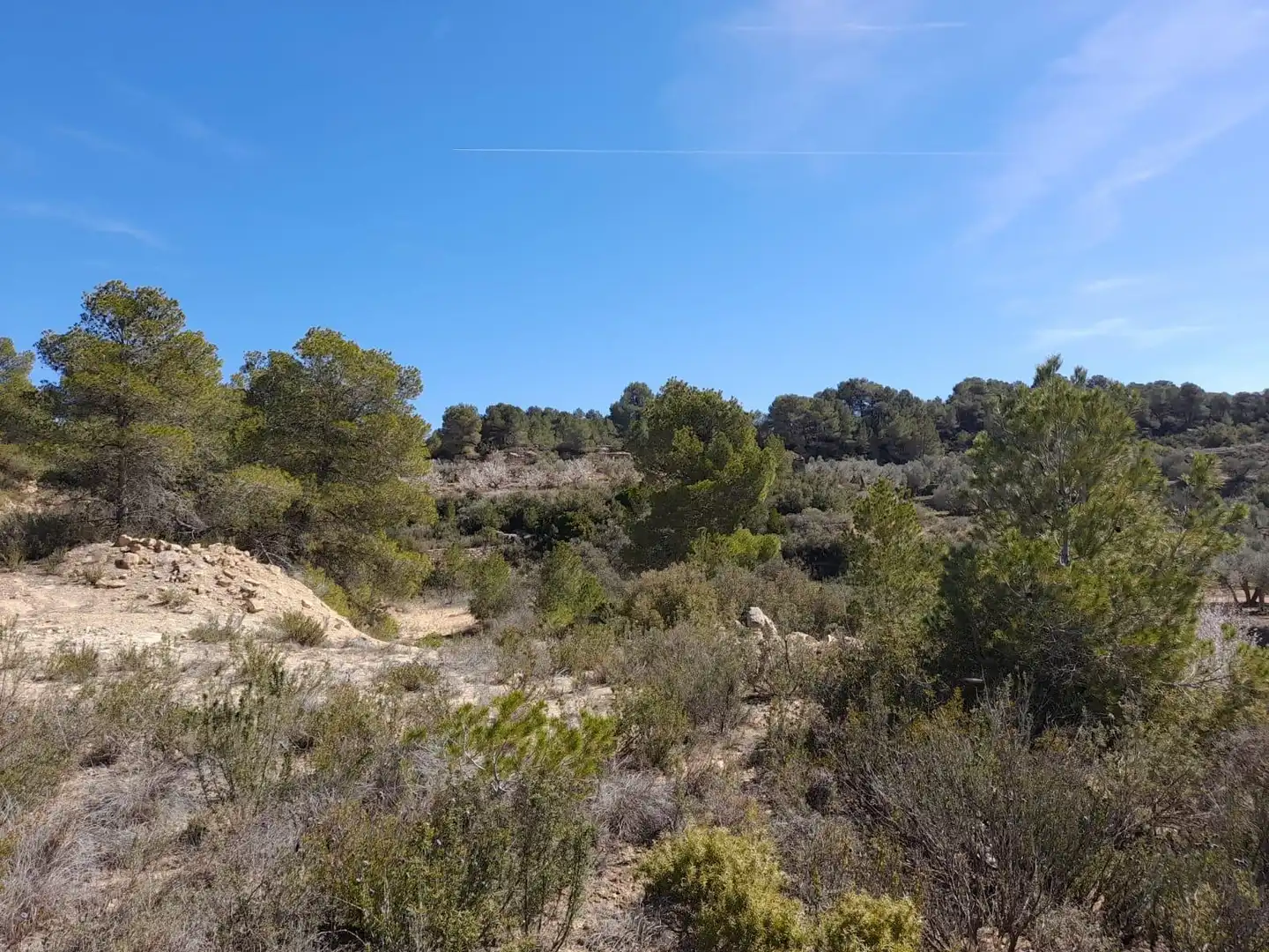 Rural land for sale in Batea, imagen 18