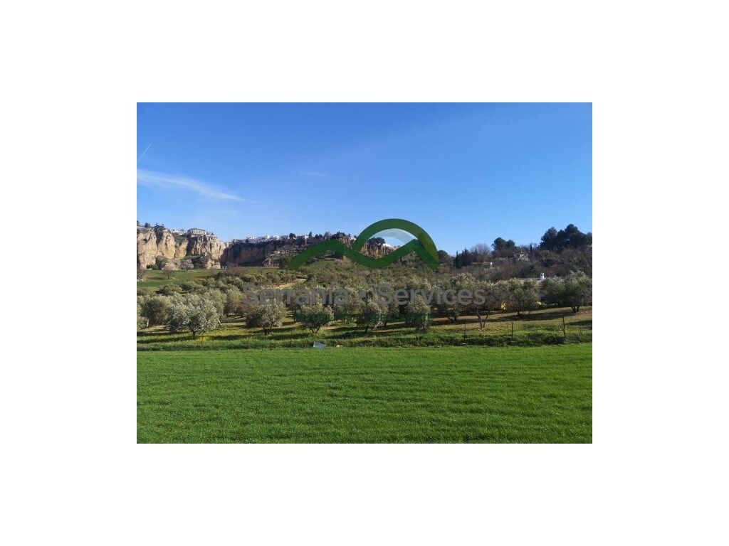 Finca rústica en venda en Ronda