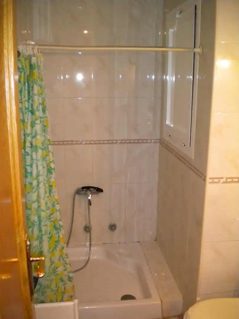 Bathroom of Flat for rent in Granada  with Heating, Terrace and Furnished