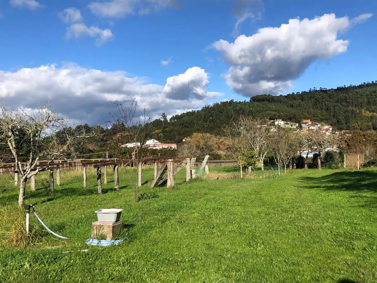 Vista exterior de Casa o chalet en venta en Caldas de Reis