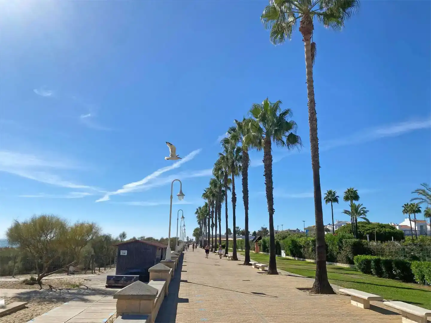 Vista exterior de Piso en venta en Islantilla con Aire acondicionado, Piscina y Balcón