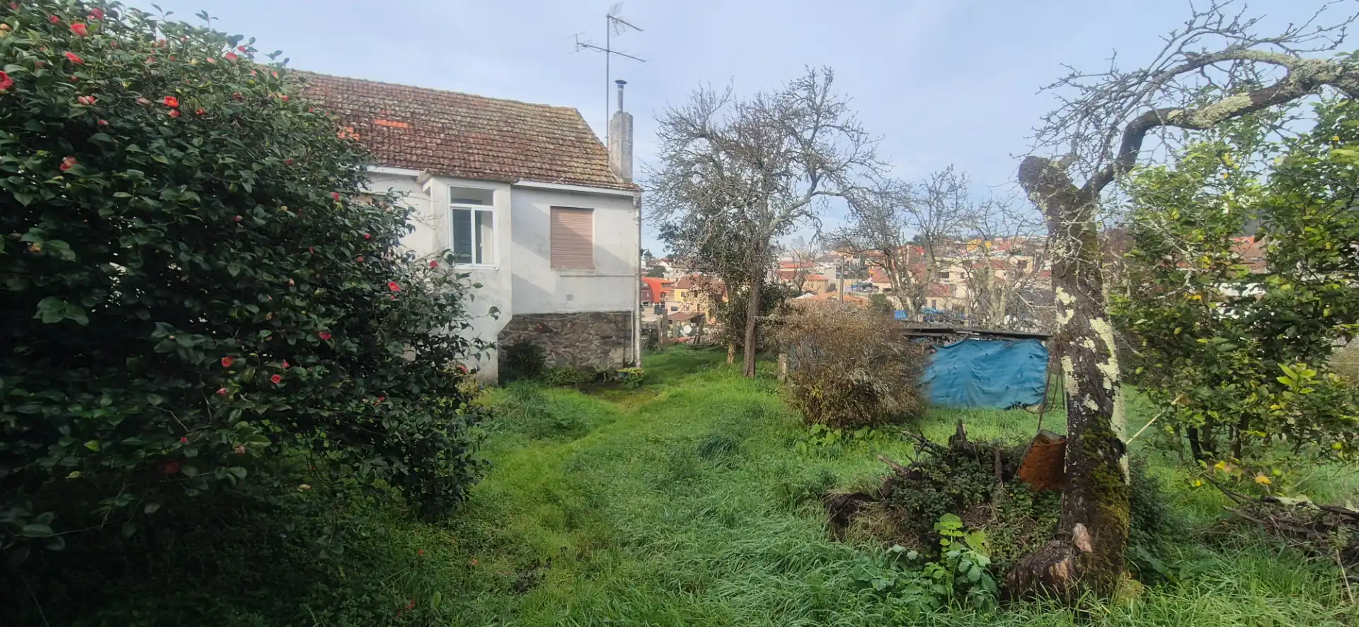 Terreno residencial en venta en Estrada de Bembrive, imagen 4