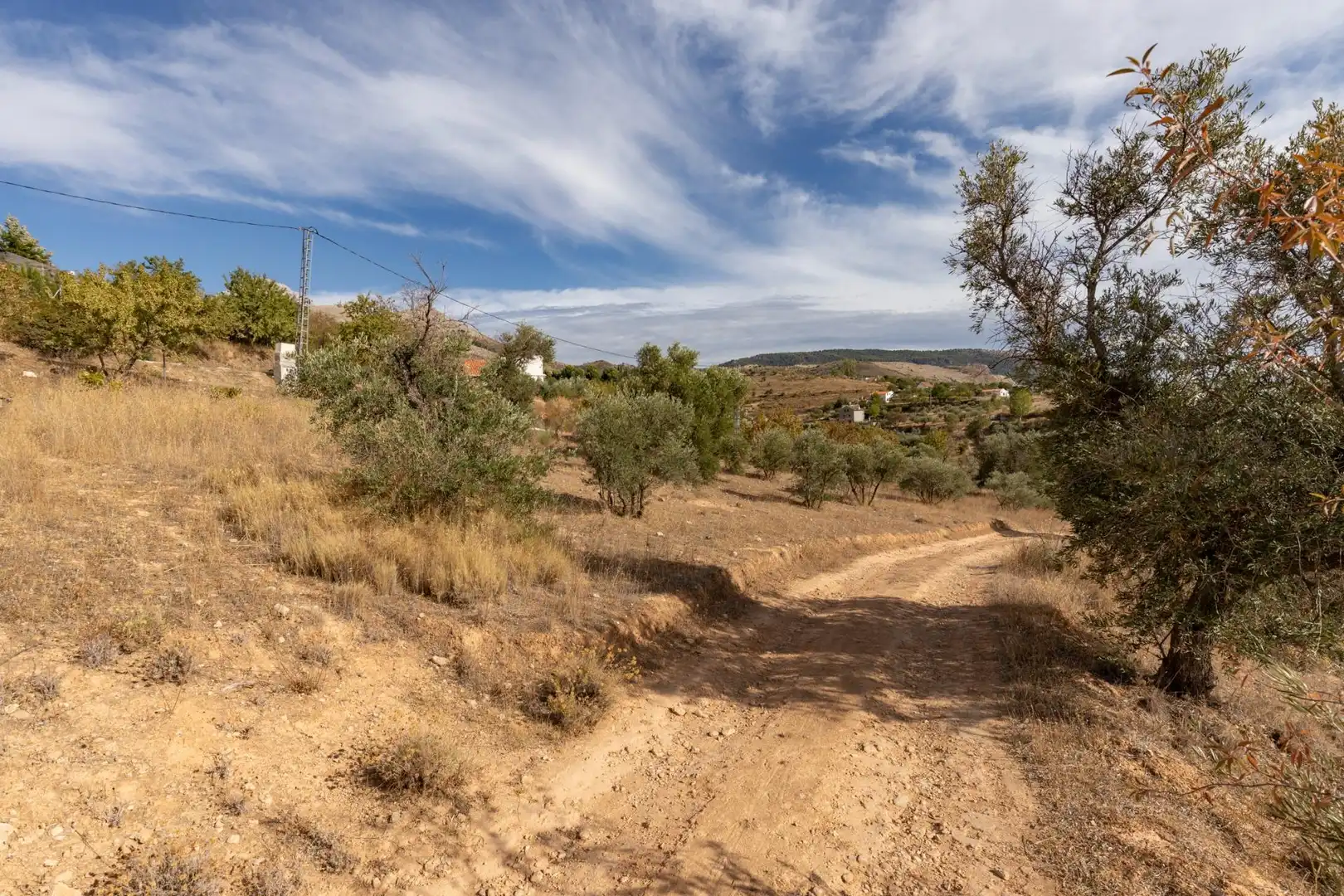 Finca rústica en venta en Cogollos de la Vega con Jardín privado y Piscina