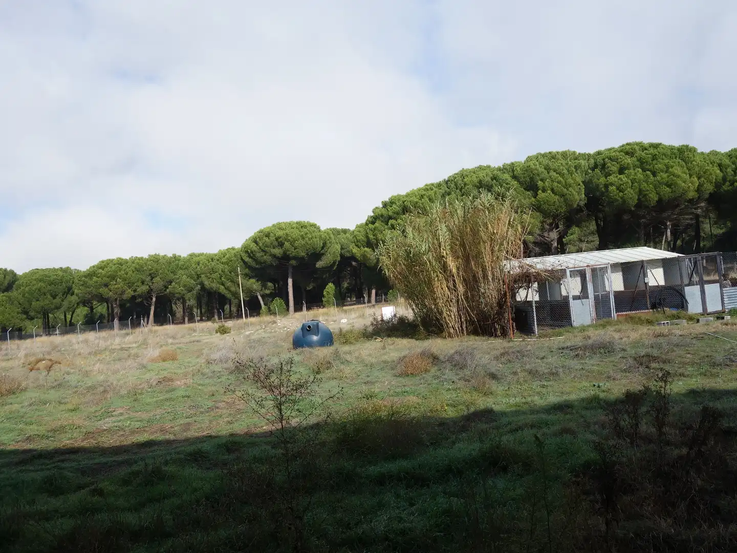 Terreni e lotti in vendita a Íscar, imagen 14