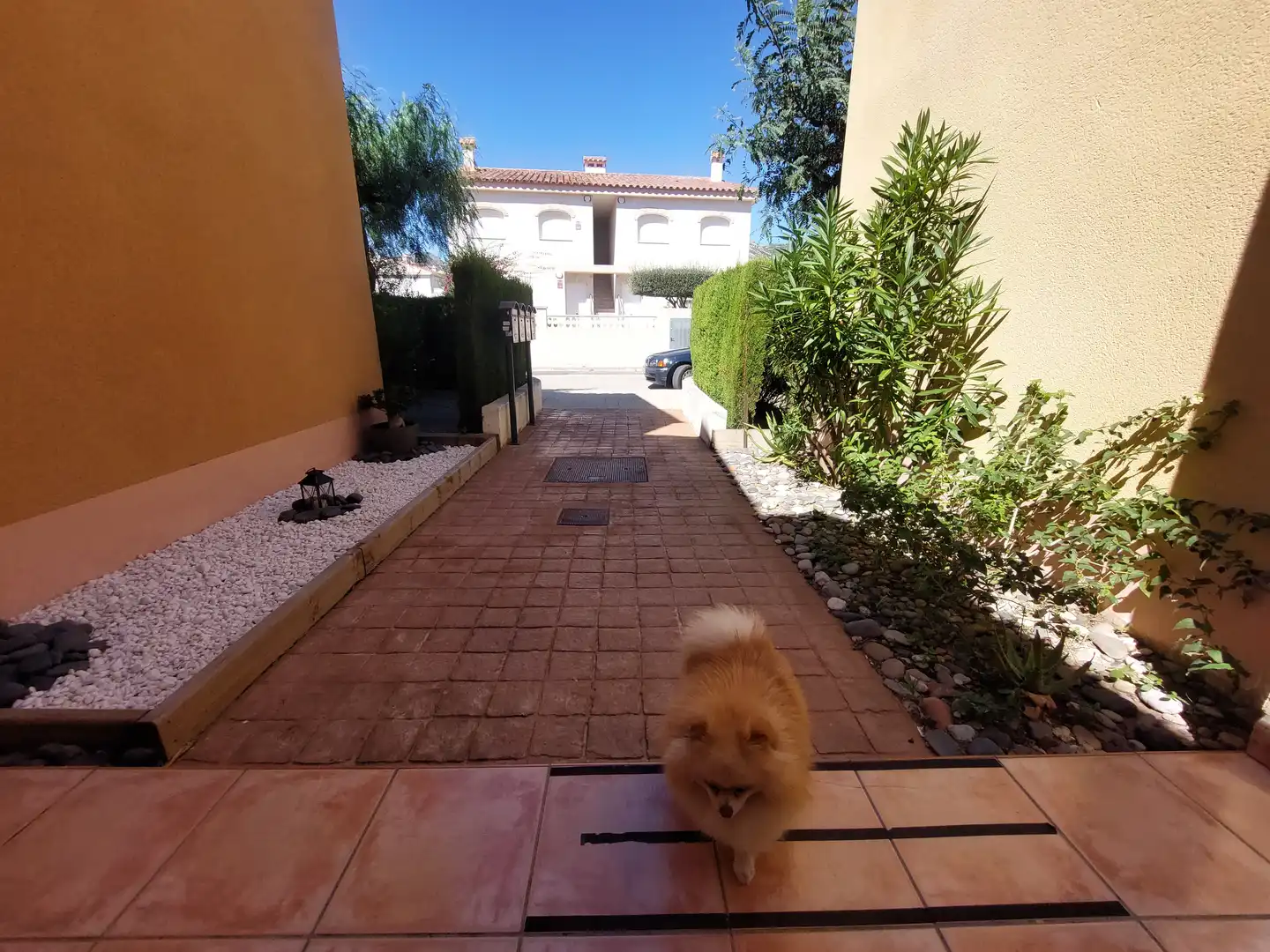 Casa a schiera con terrazza in vendita a Carrer de Mont-Roig de Sió 42, imagen 39