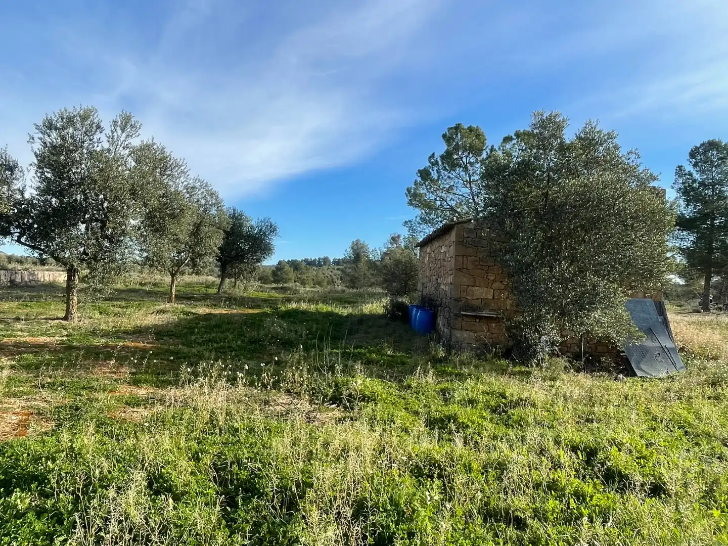 Rural land for sale in Cervià de Les Garrigues, imagen 17